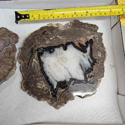 Thunderegg