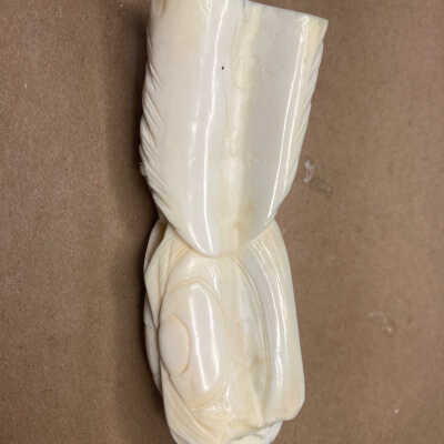 (A) Bottom Pretreatment with Renaissance Wax