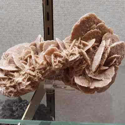 "Sand Rose" Gypsum