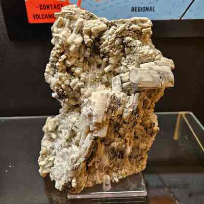 Scapolite