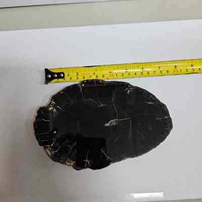 Sweethome Petrified Wood Slab