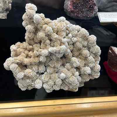 Desert Rose Cluster