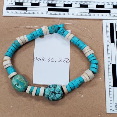 Turquoise and Bone Necklace