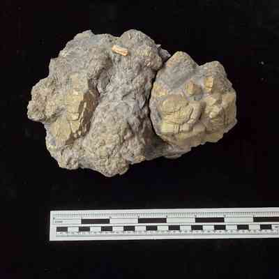 Pyrite