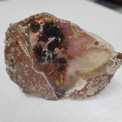 Plume Agate