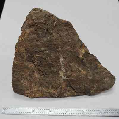 Rhyolite