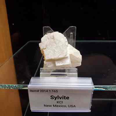 Sylvite