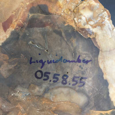 Back of object