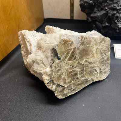 Muscovite
