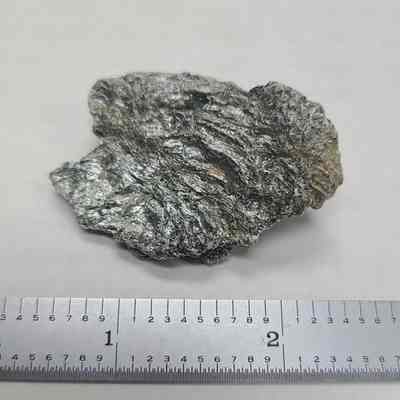 Muscovite
