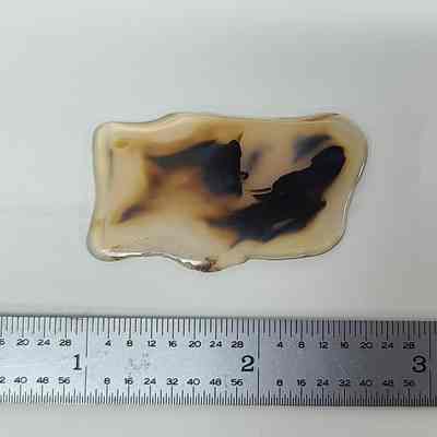 Dendritic Agate