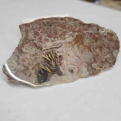 Plume Agate