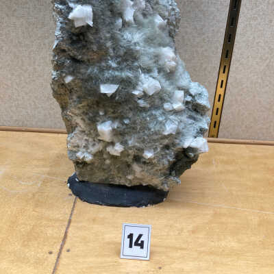 Amianthus Actinolite