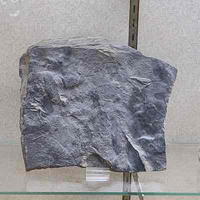 Greywacke Sandstone