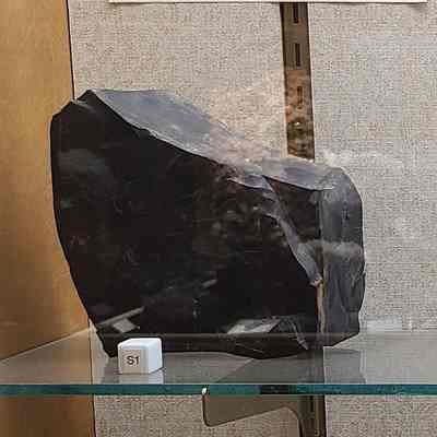 Coal