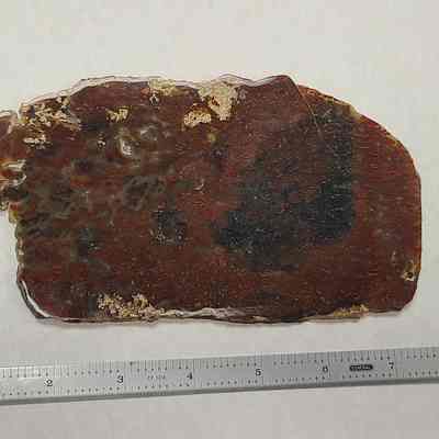 Plume Agate