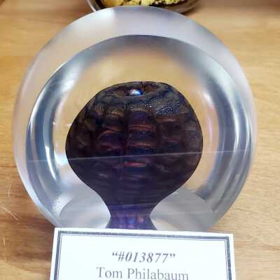 "Satin Paperweight #013877"