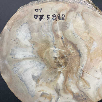 Back of object