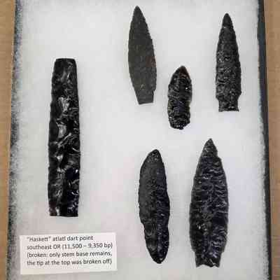 Projectile Point Board