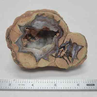 Thunderegg