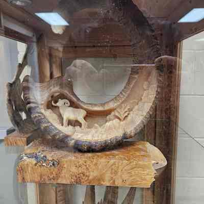 Big Horn in Horn