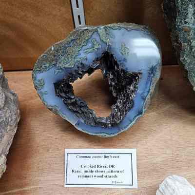 Limb Cast
