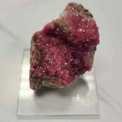 Colbaltoan Calcite