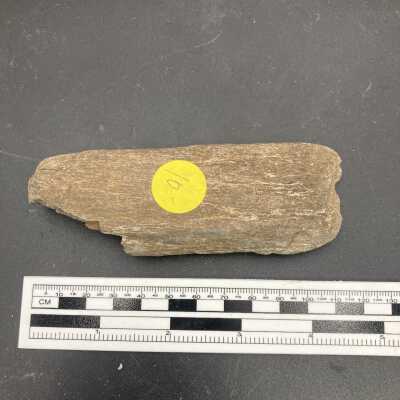 Axe head