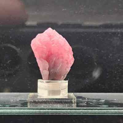 "Mushroom Cap" Elbaite Tourmaline