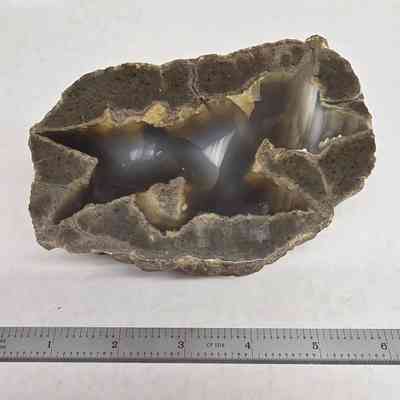 Thunderegg