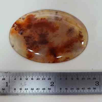 Carey Plume Agate