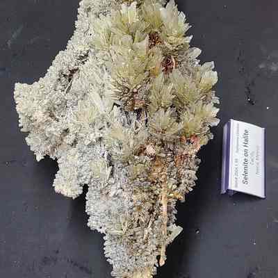 Gypsum