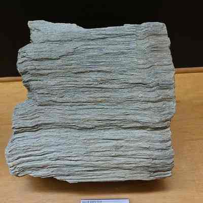Ultramafic Greenschist