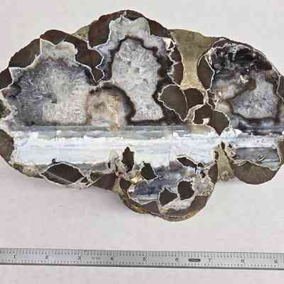 Thunderegg