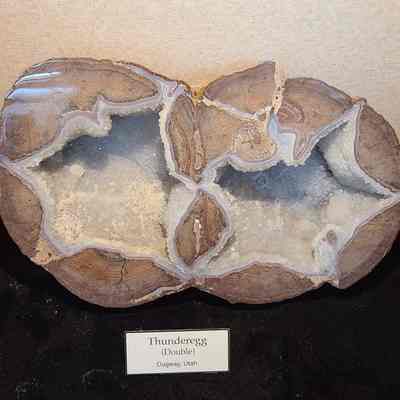 Thunderegg (double)