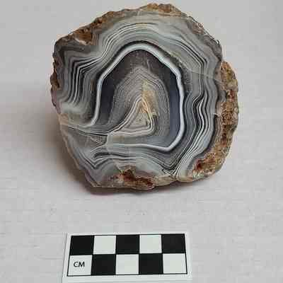 Botswana Agate