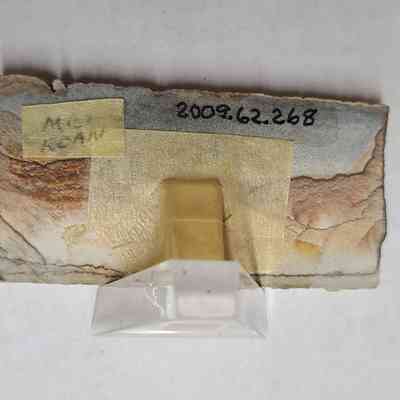 Reverse side - piece of masking tape with "MC LOAN" affixed to left side. Based mount is also secured with masking tape.