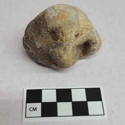 Agate nodule