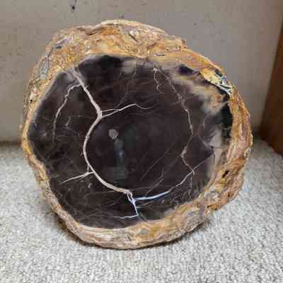 Basswood