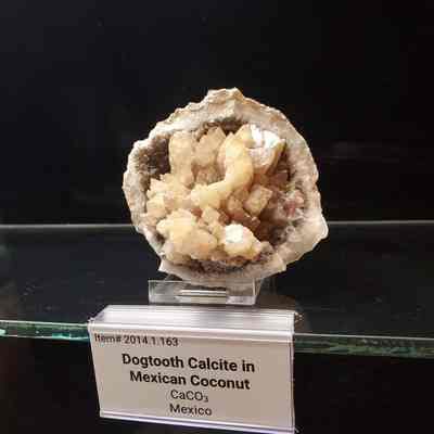 Dogtooth Calcite in Mexican Coconut