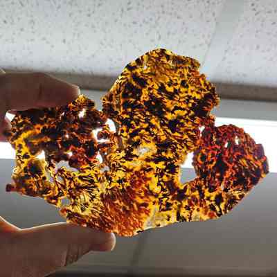 Plume Agates
