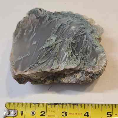 Agatized Limb Cast