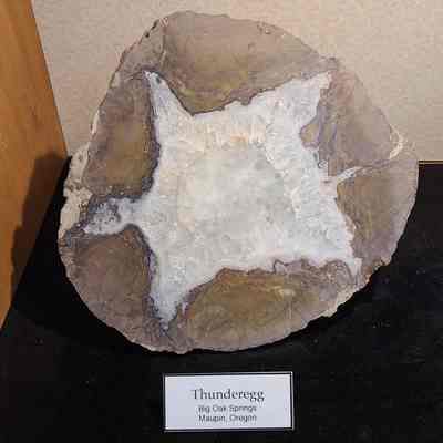 Thunderegg