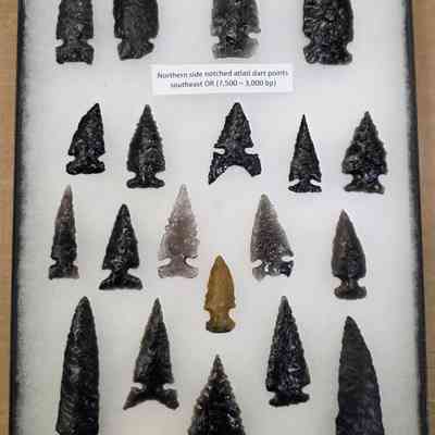Projectile Point Board
