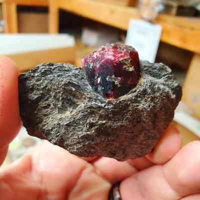 Garnet