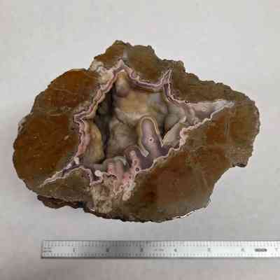 Thunderegg