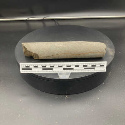 Core sample