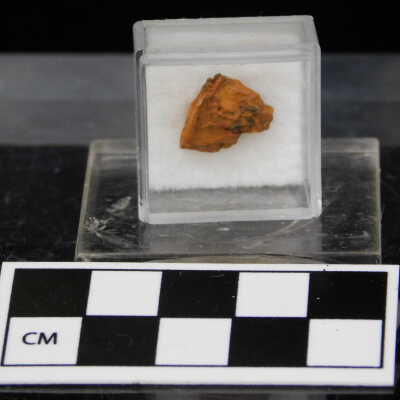 Meteorite Egerton