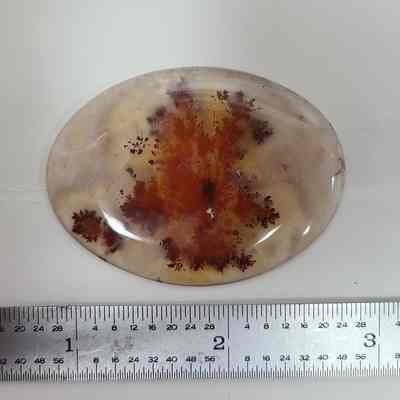 Carey Plume Agate