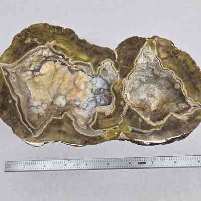 Thunderegg